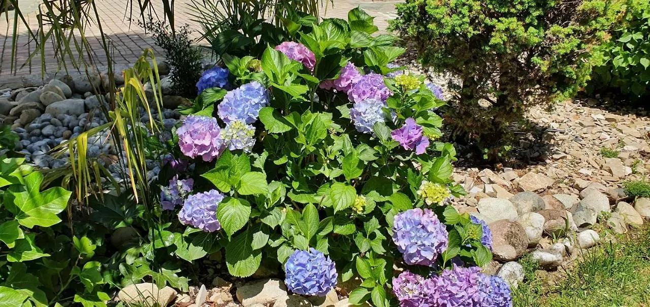 B&B Le Palme 아피아노젠틸레
